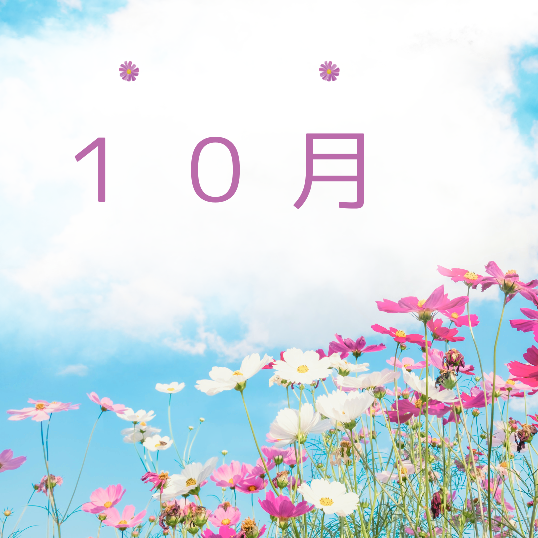 《高校１年生２年生対象》10月からの新教材